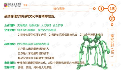 大米姐品牌營(yíng)銷(xiāo)策劃案商業(yè)計(jì)劃書(shū)