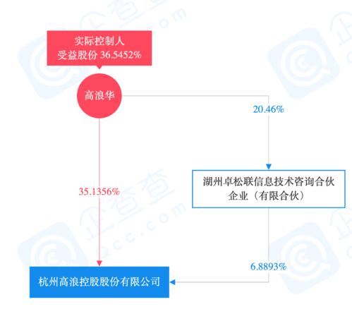 高浪與聯(lián)合利華強(qiáng)強(qiáng)聯(lián)手 合資公司gouni引領(lǐng)市場(chǎng)營(yíng)銷(xiāo)新篇章