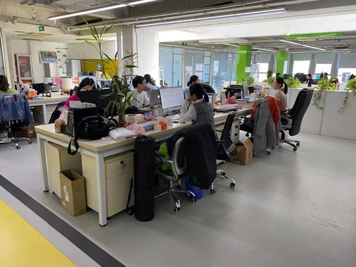 上地西二旗中關村軟件園1065平精裝辦公樓 即租即用，助力軟件開發企業高效啟航